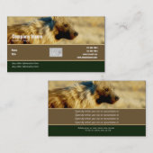 Safari d'hyènes de profil de carte de visite (Devant / Derrière)