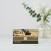 Safari d'hyènes de profil de carte de visite (Debout devant)