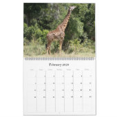 safari girafe calendrier 2025 (Feb 2026)