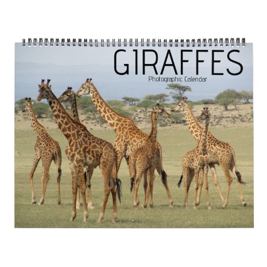 safari girafe calendrier 2025 (Protection)