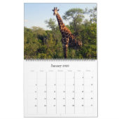 safari girafe calendrier 2025 (Jan 2026)