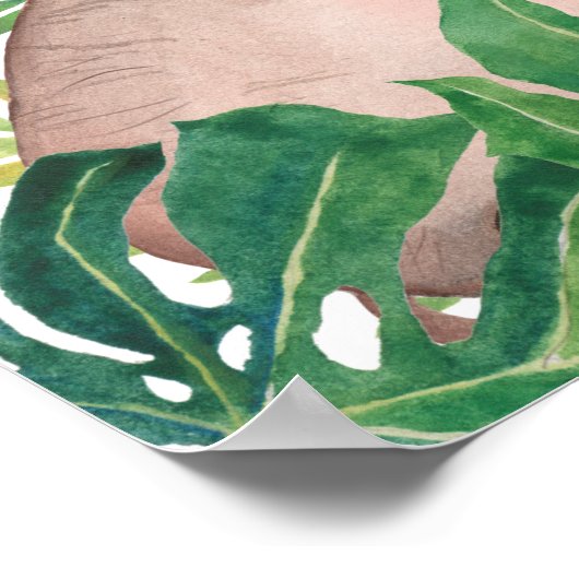 Safari in het Oerwoud Baby Hippo Poster (Hoek)