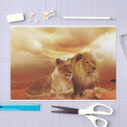 safari leeuwenpapier tissuepapier (Craft)