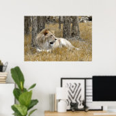 Safari - Lion Poster (Thuiskantoor)