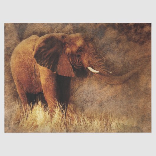 safari-olifantenpapier tissuepapier (Voorkant)