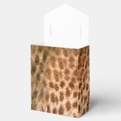 Safari Outdoor Bedankdoosjes (Geopend)