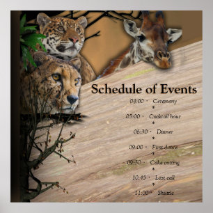 Safari Outdoor Poster