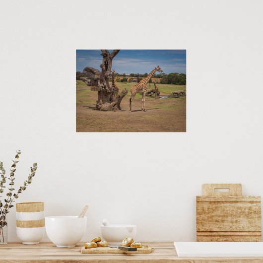 Safari Wildlife Giraffes en neushoorns op Open Pla Poster (Keuken)