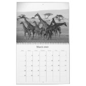 Safari Zwart & Wit 2025 Kalender (Mar 2026)