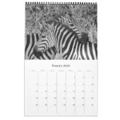 safari zwart-wit kalender (Jan 2026)