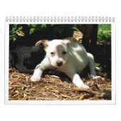 Safe Hands Rescue 2015-kalender Kalender (Hoes)