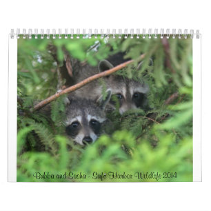 Safe Harbor Wildlife Agenda Kalender