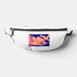 saffelbodreyx heuptasje