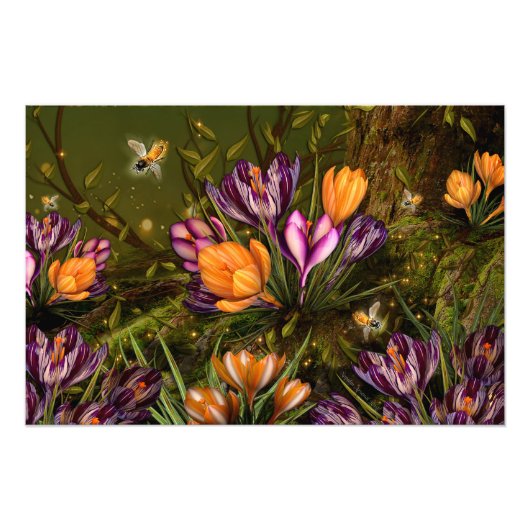 Saffron Crocus Foto Afdruk (Voorkant)