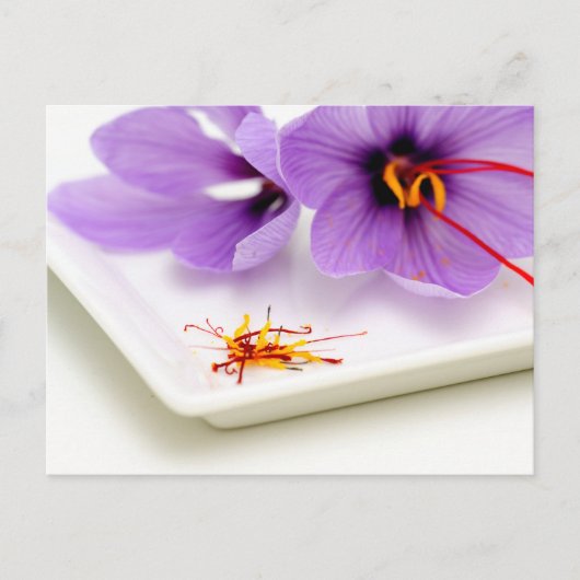 Saffron Flowers Briefkaart (Voorkant)