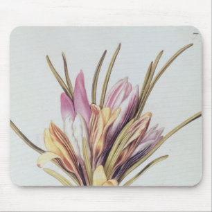 Saffron of Crocus uit "La Guirlande de Julie" Muismat