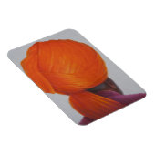 Saffron Turban 2014 Magneet (Rechterzijde)