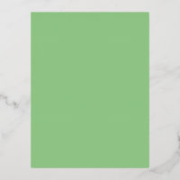 Sage #93CC8A, Clay Ash
