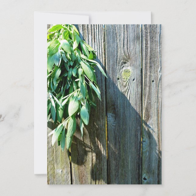 Sage Barn-wood, vers gesneden (Voorkant)