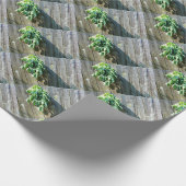 Sage Barn-wood, vers gesneden Cadeaupapier (Hoek)