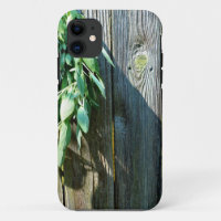Sage Barn-wood, vers gesneden