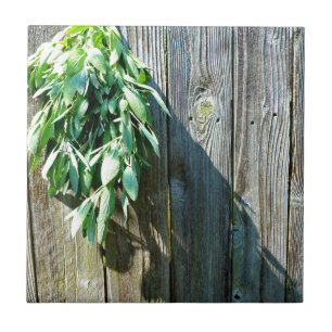 Sage Barn-wood, vers gesneden Tegeltje