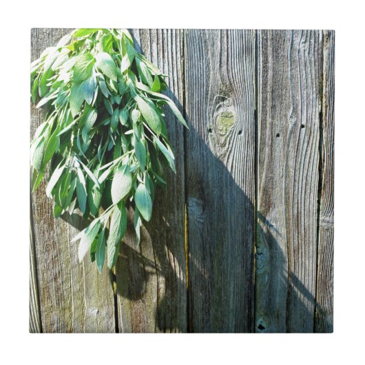 Sage Barn-wood, vers gesneden Tegeltje (Voorkant)