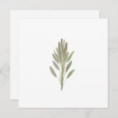 Sage botanische plant greenercard (Voorkant / Achterkant)