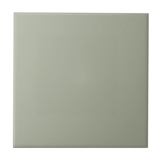 Sage Clary Green Square Kitchen en Bathroom Tegeltje (Voorkant)