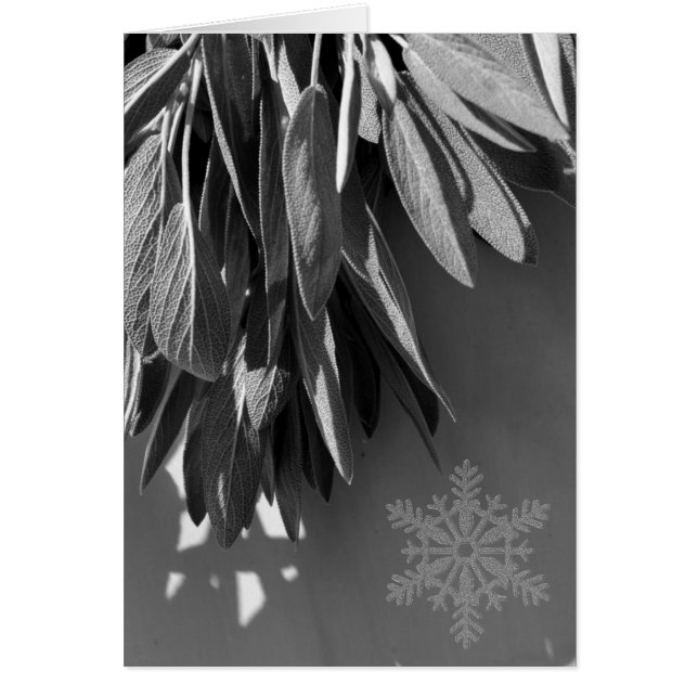 Sage Grayscale, vers gesneden (Voorkant)