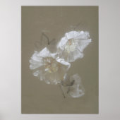 Sage Green Botanische  witte rozen Afdrukken Poster (Voorkant)