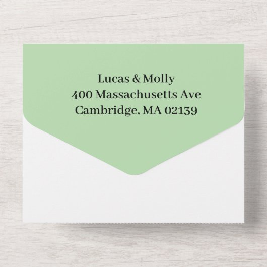 Sage Green Fern Leaf Wedding All In One Uitnodiging (Achterkant)