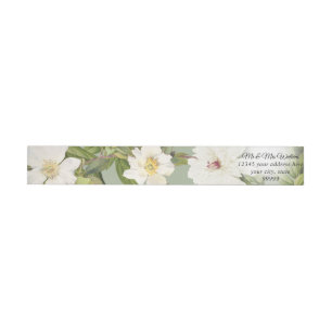 Sage Green in White Botanical Floral Peony