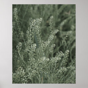 Sage Green Plant Life in Wilde Foto Poster