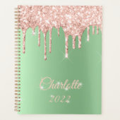 Sage Green Roos Gold Drip Glitter Sparkle Monogram Planner (Voorkant)