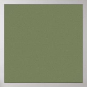 Sage Green Solid Color Poster