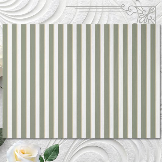 Sage Green Tan White Stripe Tissuepapier
