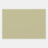 Sage Groene Stevige Kleur | Klassiek | Elegant Inpakpapier Vel (Voorkant 3)