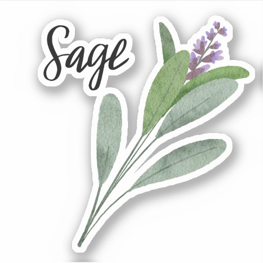 Sage Herb Jar Sticker (Voorkant)