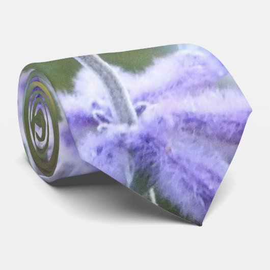 Sage russe - Cravate Perovskia (Roulé)