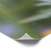 Sage russe pourpre - Poster Perovskia (Coin)