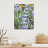 Sage russe pourpre - Poster Perovskia (Cuisine)