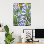 Sage russe pourpre - Poster Perovskia (Bureau à domicile)