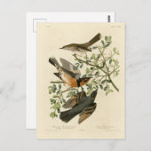 Sage Thrasher en Varied Thrush, Vogels van Audubon Briefkaart (Voorkant / Achterkant)