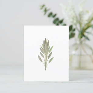 Sage van botanische plant van groenpapier