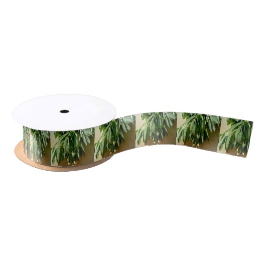 Sage, vers gesneden lint (Spoel)