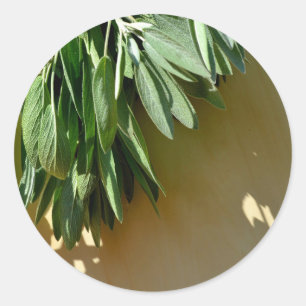 Sage, vers gesneden ronde sticker