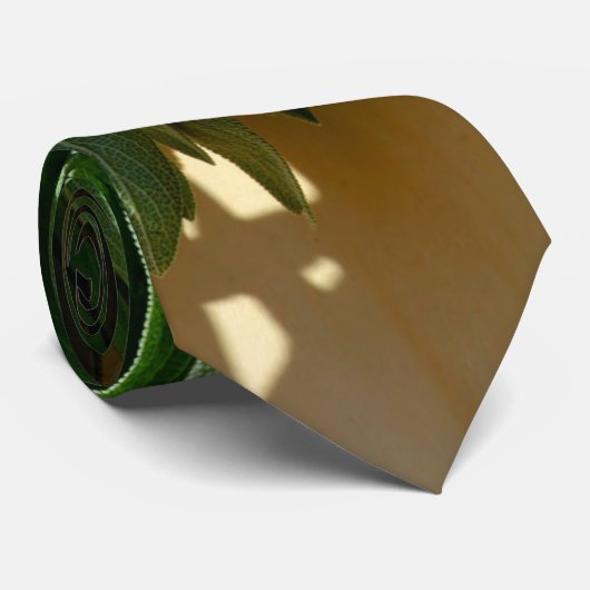 Sage, vers gesneden stropdas (Opgerold)