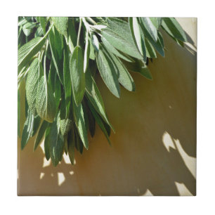 Sage, vers gesneden tegeltje