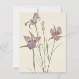 Sagebrush Mariposa van Mary Vaux Walcott Notitiekaartje